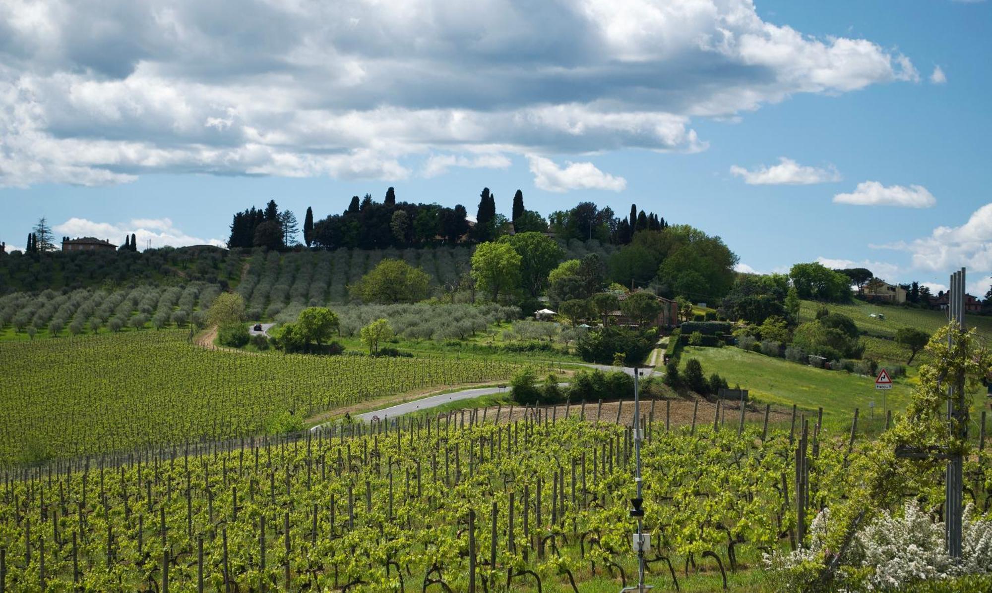 Villa Il Castagno Wine & Resort Σιένα Εξωτερικό φωτογραφία